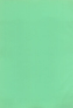 Page 3 of ChaChaCha World