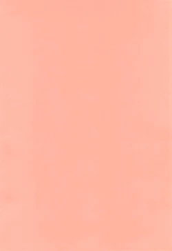 Page 22 of TWINKLE☆PRINCESS