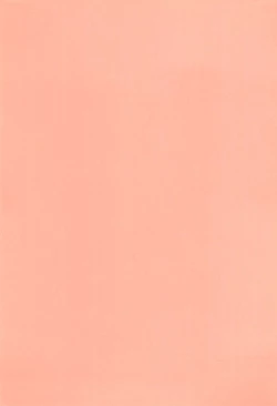 Page 3 of TWINKLE☆PRINCESS