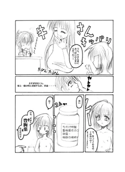 Page 4 of Elflite - kyalite