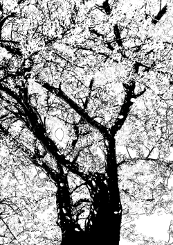 Page 60 of Seibo no Taiban