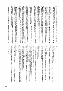 Page 25 of Lele Pappa Vol. 8