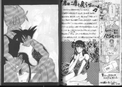 Page 12 of Dragonball for adult