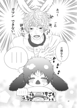 Page 45 of Usagi no Hon