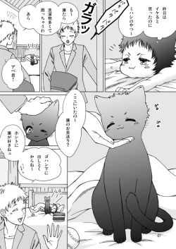 Page 6 of Mihashichi no Abe Neko-kun
