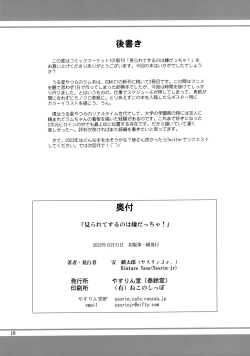 Page 17 of Mirarete Suru no wa Iyadaccha!