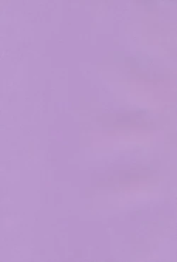 Page 2 of Hakurei Jinja no Reimu-san | Reimu of the Hakurei Shrine