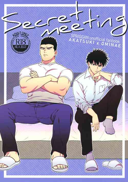 Download Secret meeting