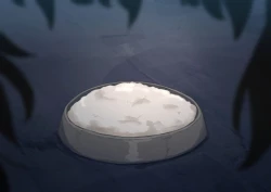 Page 245 of Public Property Sex Slave Girl Vol.02