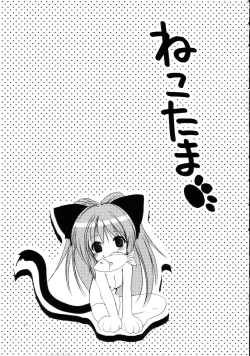 Page 21 of surrender