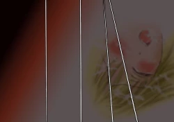 Page 37 of Shokuniku Kyoshoku 6