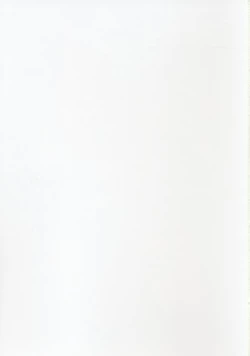 Page 37 of Ruridou Gahou CODE:19