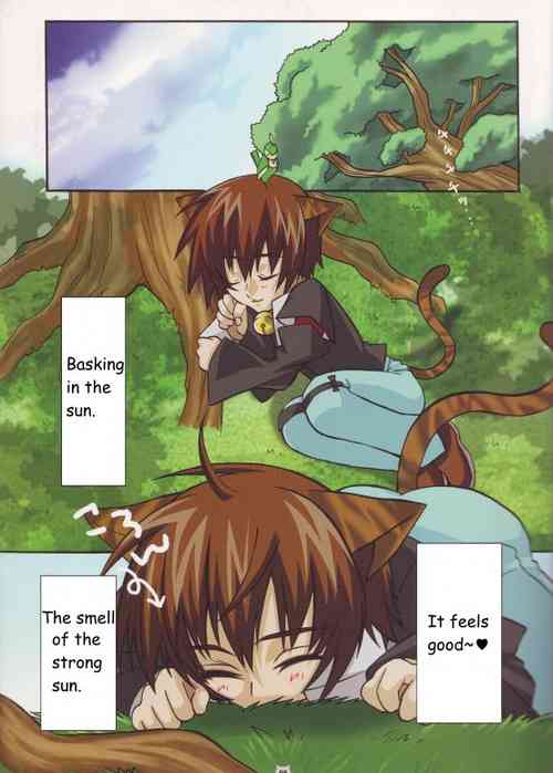 Download Nyandam SEED 2