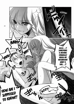 Page 19 of Marisa wa Kinoko Power wo Te ni Ireta!