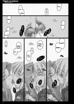 Page 16 of Papilio Protenor