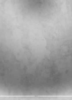 Page 17 of ArgentaArgentorum