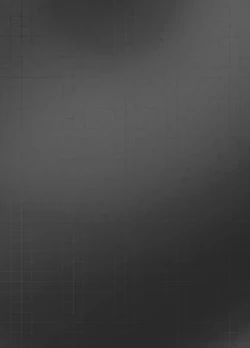 Page 2 of ArgentaArgentorum