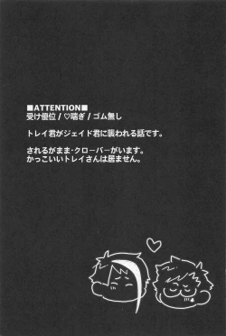 Page 2 of Bat Cat arond Trip．