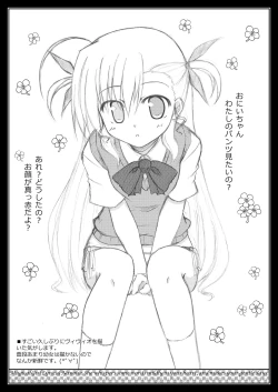 Page 24 of Suki Suki Hayate-san 2