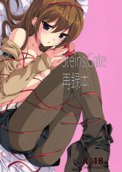 Download Steins;Gate Sairokubon