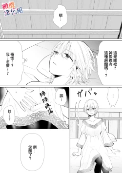 Page 13 of seijonanoni goei kishi o yami ochi sasete shimaimashita｜明明是个圣女却让护卫骑士坠入黑暗