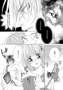 Page 21 of ama ga mi ōkami to yūwaku no yoru | 甜蜜轻咬的狼与诱惑之夜