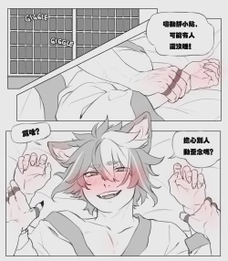 Page 19 of Patreon Compilation