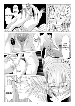 Page 13 of Kokoro no Katachi Sei no Katachi | The Shape of my Mind, the Shape of my Heart