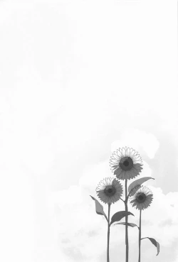 Page 15 of Wasureji no Natsu