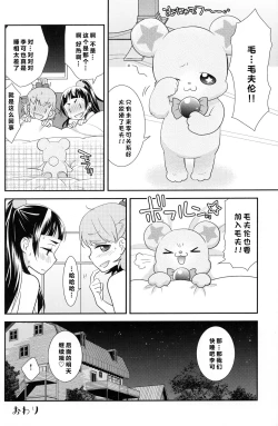 Page 25 of CURE UP↑↑ Himitsu no Wonder Land | CURE UP↑↑秘密的宝岛