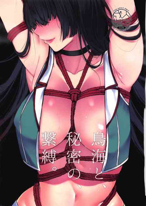 Download Choukai to, Himitsu no, Keibaku.