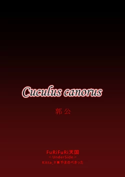 Page 33 of Cuculus canorus