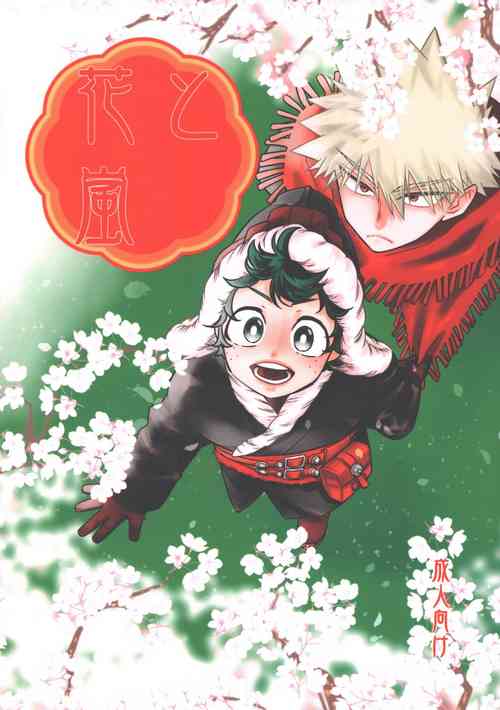 Download Hana to Arashi