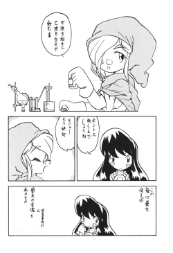 Page 29 of Ikkakusenkin