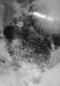 Page 193 of No Mercy