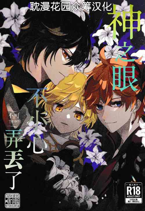 Download Kami no Me Otoshichatta | 神之眼不小心弄丟了