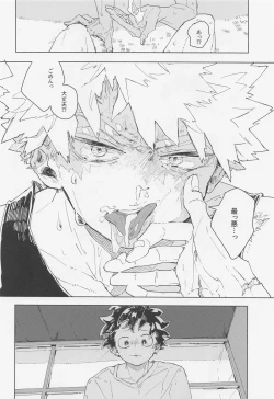 Page 17 of Magnetic Energeticin in the umi