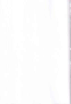 Page 27 of Fujun Isei Kouyuu with Iede JK