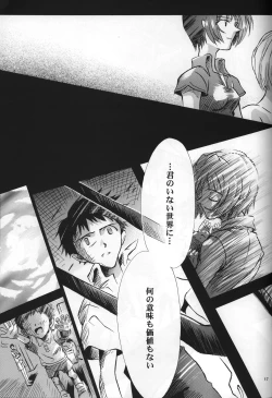 Page 19 of <Shinyaku> neon genesis document G