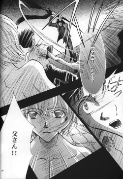 Page 22 of <Shinyaku> neon genesis document G