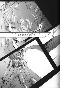 Page 27 of <Shinyaku> neon genesis document G