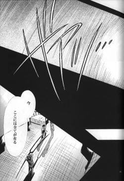 Page 37 of <Shinyaku> neon genesis document G