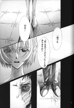 Page 41 of <Shinyaku> neon genesis document G