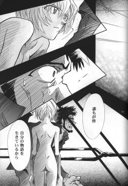 Page 55 of <Shinyaku> neon genesis document G