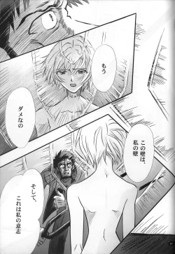 Page 69 of <Shinyaku> neon genesis document G