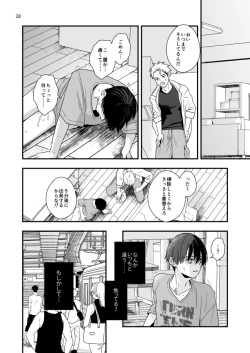 Page 28 of Boku shika Shiranai Nii no Kao