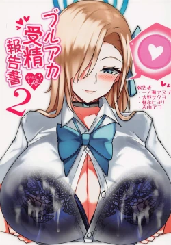 Page 1 of BluArch Jusei Houkokusho 2