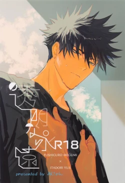 Page 1 of tomeinaeien