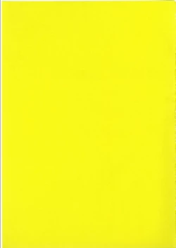 Page 17 of KuroNeko Choukyouki