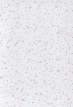 Page 2 of 2nichi,-kun to sakurasaku apāto de